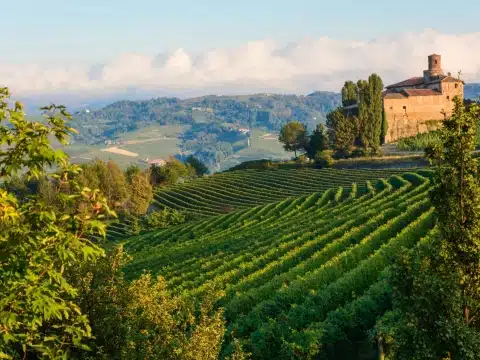 Piemont, Barolo Piemont, Barolo