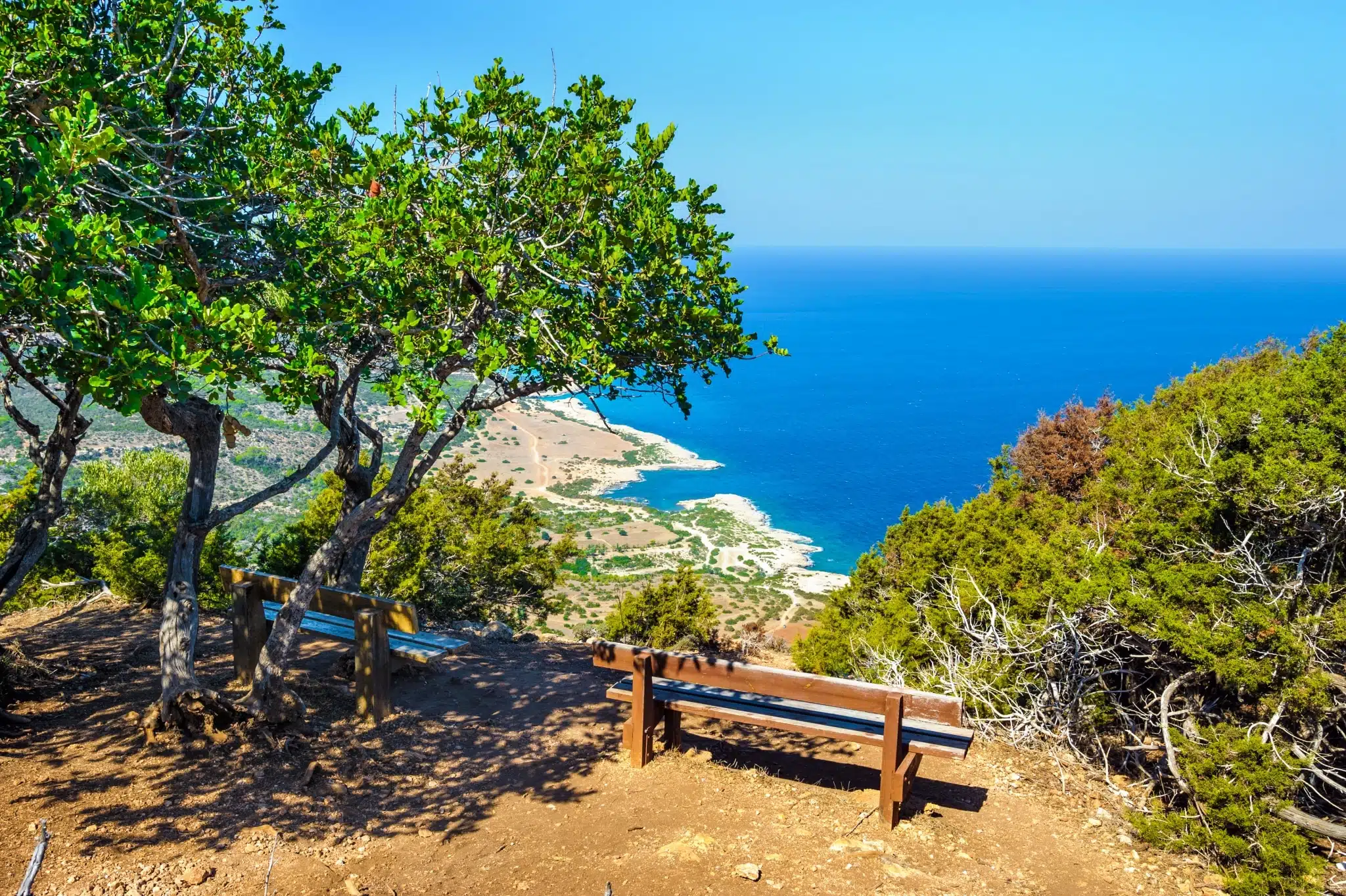 Zyper, Akamas
