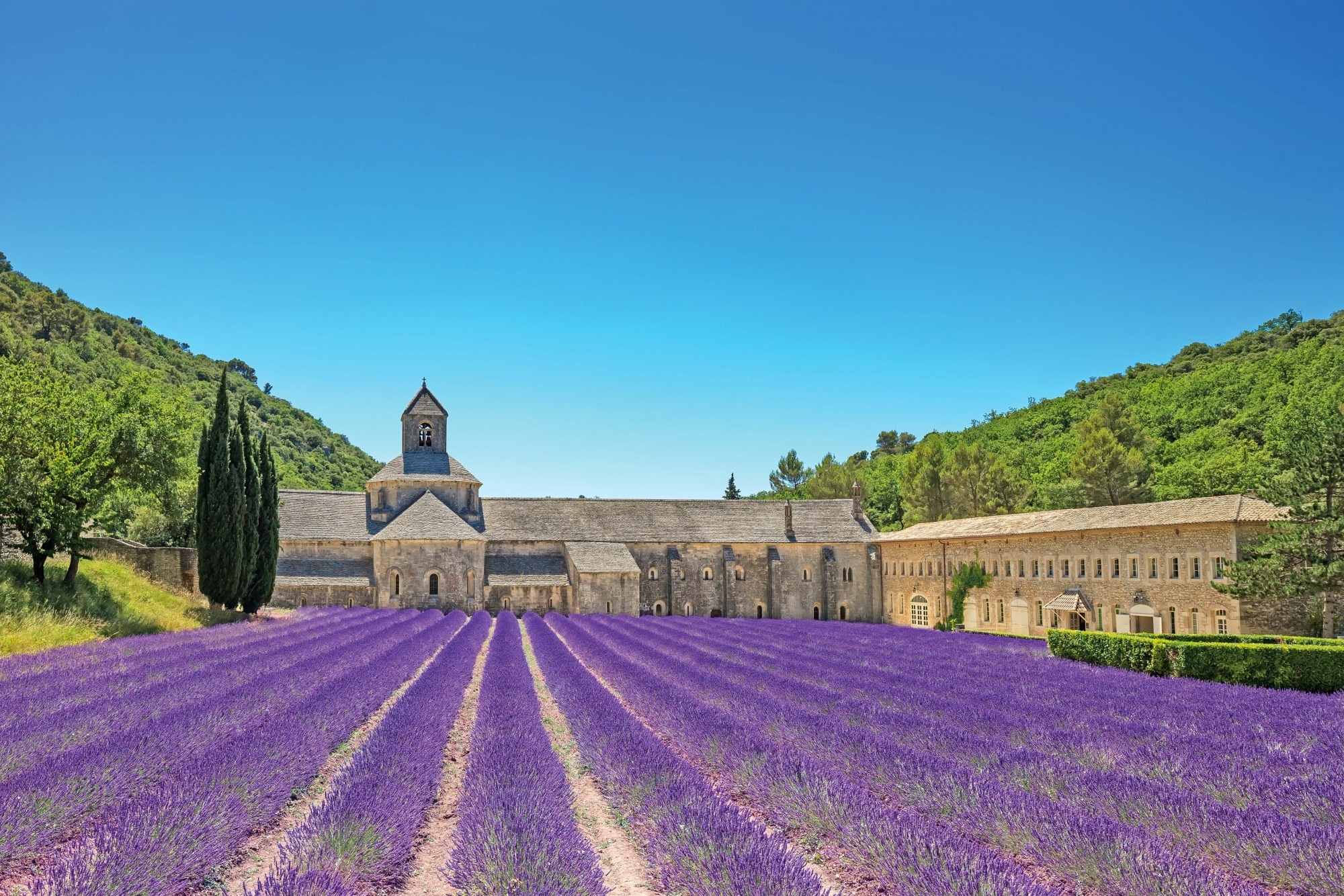 Kloster Senanque mit blühendem Lavendel_depositphotos