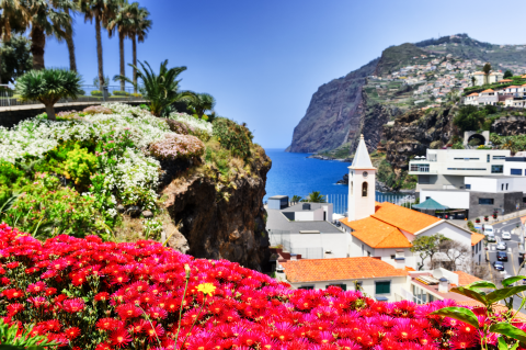 Madeira, Camara de Lobos©shutterstock