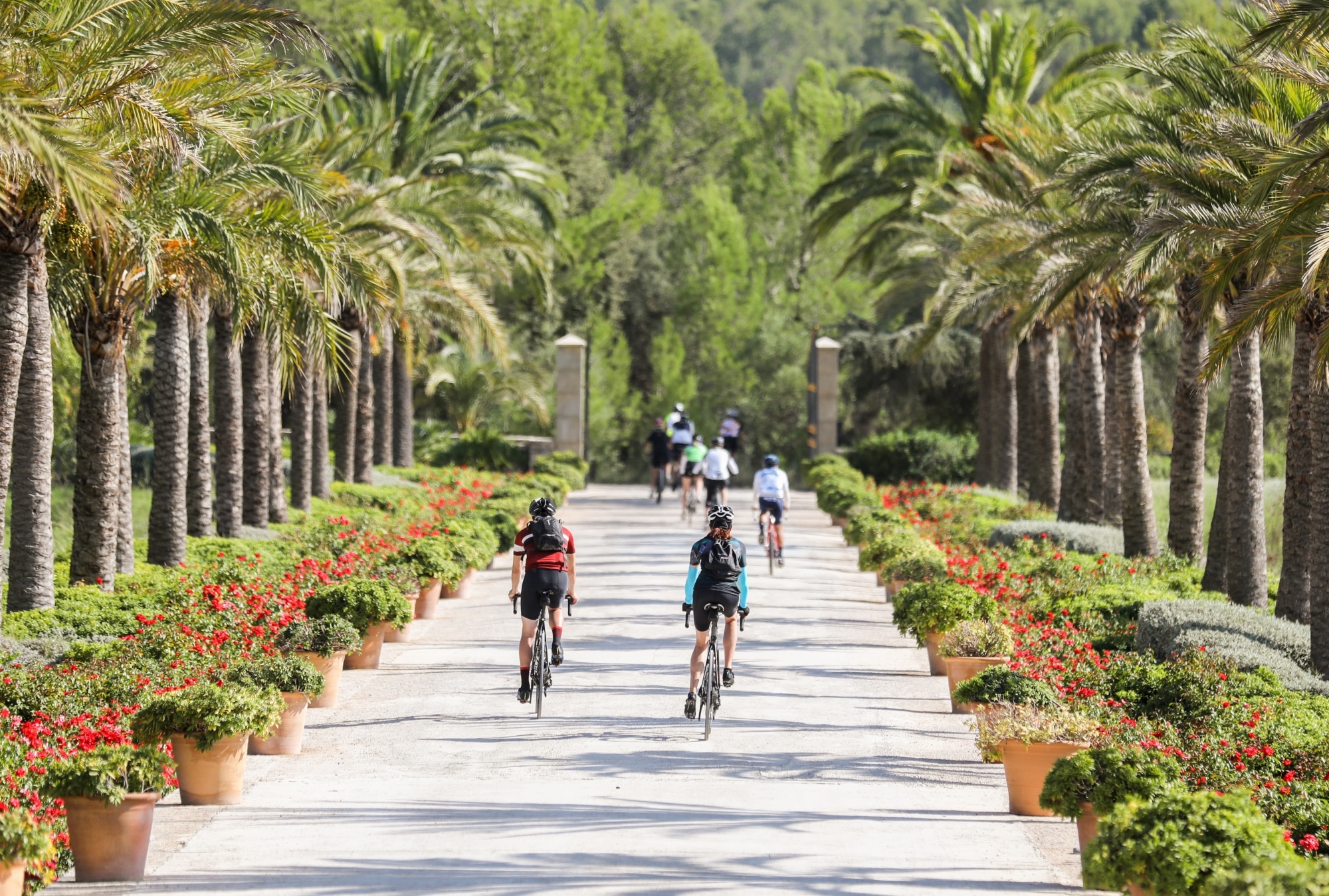 Radfahren in Mallorca