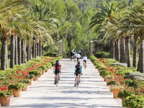 Radfahren in Mallorca