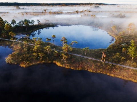 Wandern auf den Bohlenwegen in geschützten Mooren Estlands