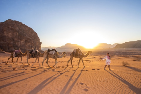 Kamele im Wadi Rum ©Jordan Tourism