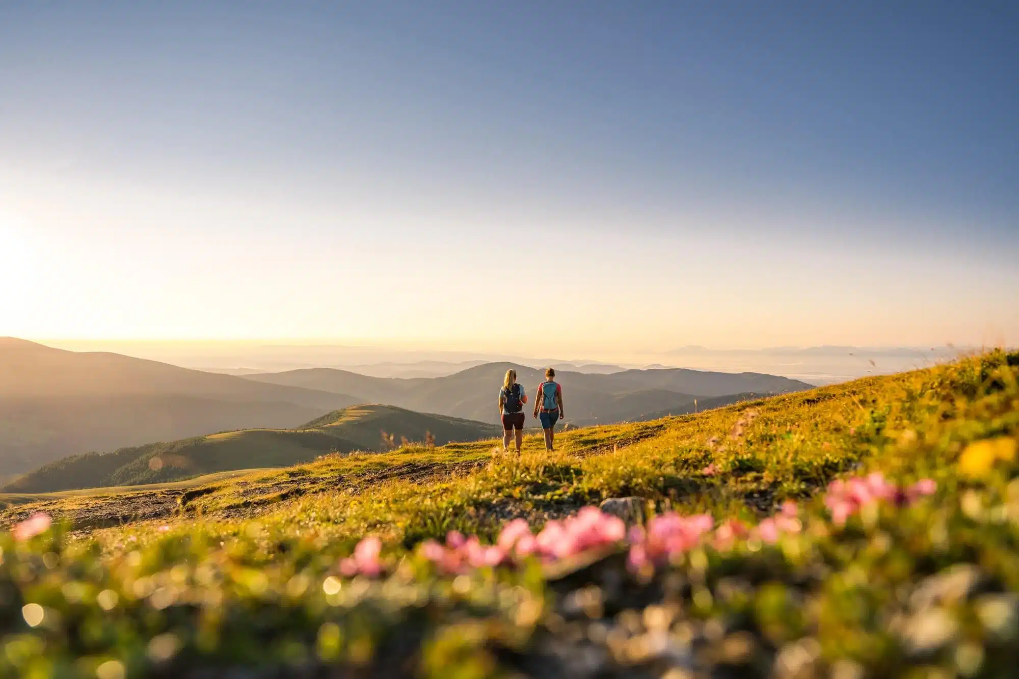 Nockberge im Sommer © Kärnten Werbung, Michael Stabentheiner Nockberge im Sommer