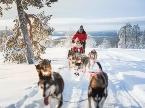 Husky-Schlittenfahrt ©Visit Rovaniemi Husky-Schlittenfahrt ©Visit Rovaniemi
