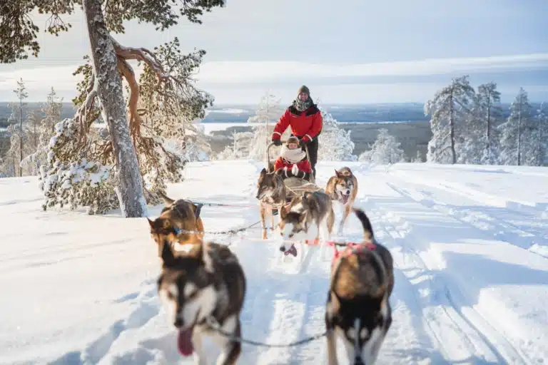 Husky-Schlittenfahrt ©Visit Rovaniemi Husky-Schlittenfahrt ©Visit Rovaniemi