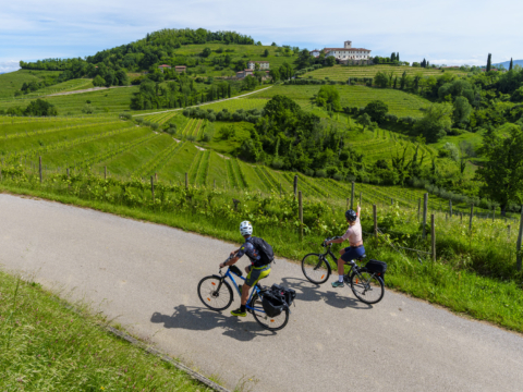 Radfahren im Collio © PromoTurismoFVG : Devis Solerti Radfahren im Collio © PromoTurismoFVG : Devis Solerti